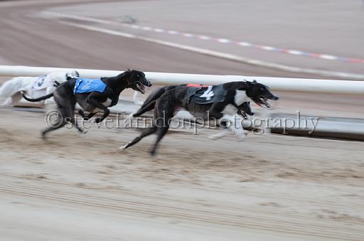 dogsaug9_0078.jpg - (C)S.FARNDON