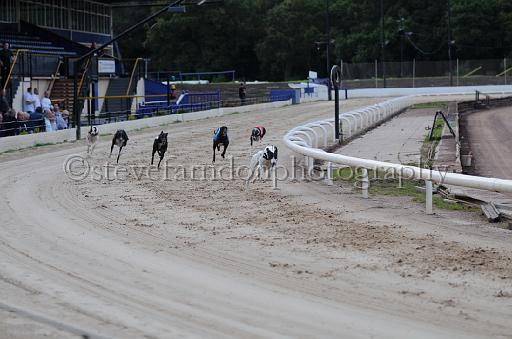 dogsaug9_0084.jpg - (C)S.FARNDON