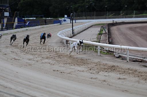 dogsaug9_0086.jpg - (C)S.FARNDON