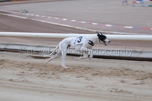 dogsaug9_0090.jpg - (C)S.FARNDON