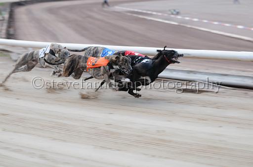 dogsaug9_0102.jpg - (C)S.FARNDON
