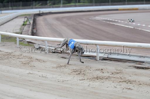 dogsaug9_0106.jpg - (C)S.FARNDON