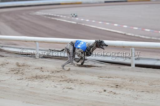 dogsaug9_0107.jpg - (C)S.FARNDON