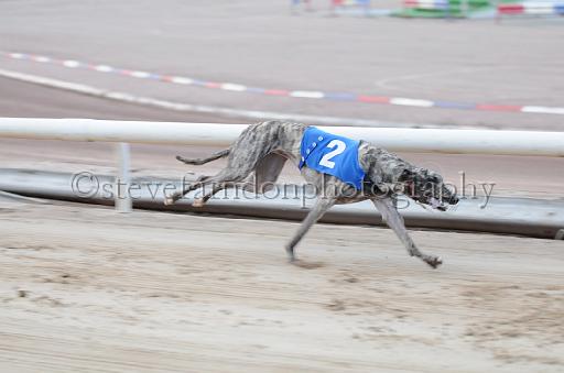 dogsaug9_0108.jpg - (C)S.FARNDON