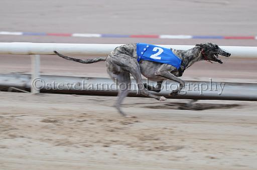 dogsaug9_0109.jpg - (C)S.FARNDON