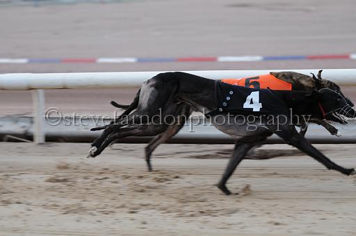 dogsaug9_0111.jpg - (C)S.FARNDON