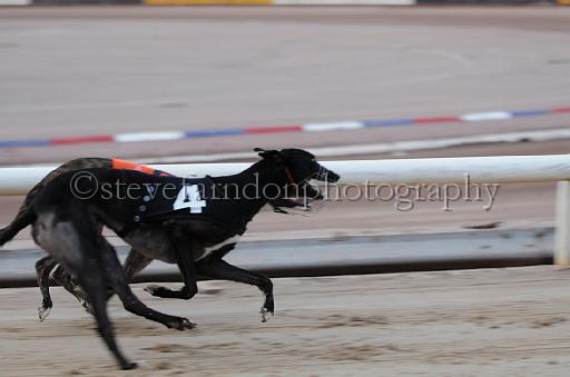 dogsaug9_0112.jpg - (C)S.FARNDON
