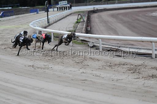 dogsaug9_0115.jpg - (C)S.FARNDON