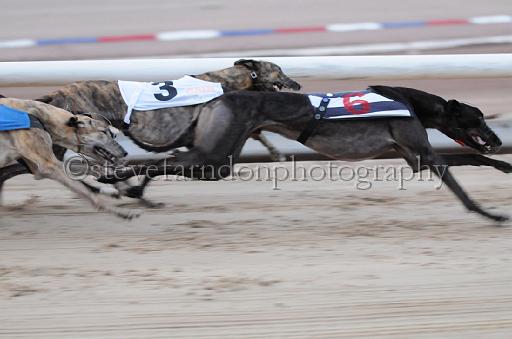 dogsaug9_0119.jpg - (C)S.FARNDON