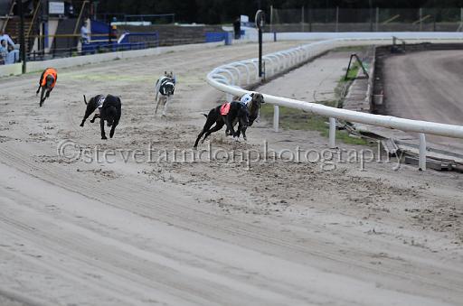 dogsaug9_0121.jpg - (C)S.FARNDON