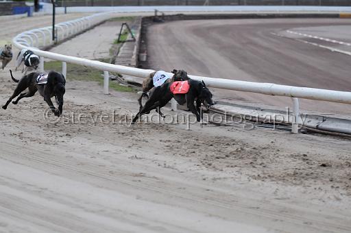 dogsaug9_0123.jpg - (C)S.FARNDON