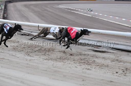 dogsaug9_0124.jpg - (C)S.FARNDON