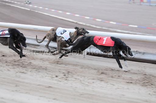 dogsaug9_0125.jpg - (C)S.FARNDON