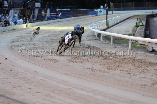 dogsaug9_0129.jpg - (C)S.FARNDON