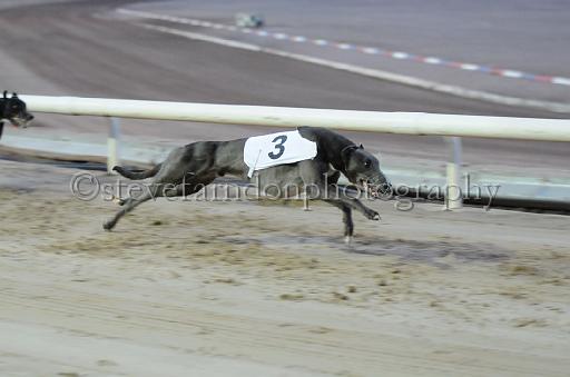 dogsaug9_0132.jpg - (C)S.FARNDON