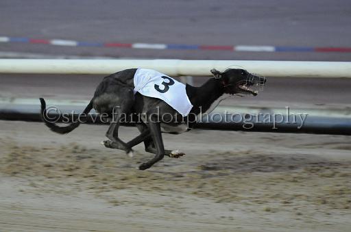 dogsaug9_0133.jpg - (C)S.FARNDON