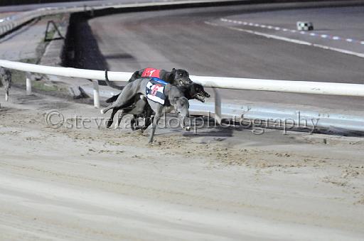 dogsaug9_0144.jpg - (C)S.FARNDON