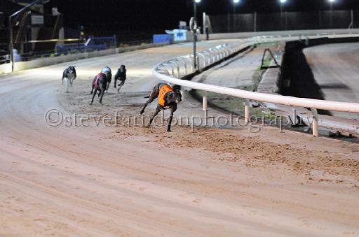 dogsaug9_0160.jpg - (C)S.FARNDON