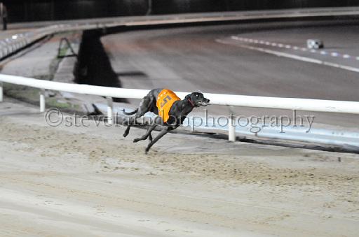 dogsaug9_0162.jpg - (C)S.FARNDON