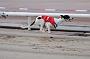 dogsaug9_0024