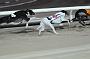 dogsaug9_0157