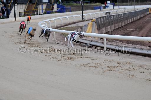 Julyaction_004.jpg - (C)S.FARNDON