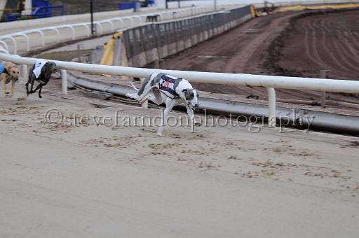 Julyaction_005.jpg - (C)S.FARNDON