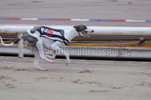 Julyaction_008.jpg - (C)S.FARNDON