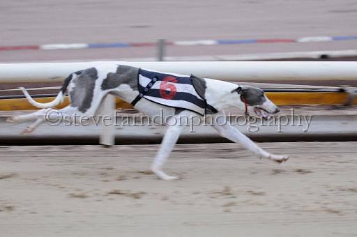 Julyaction_009.jpg - (C)S.FARNDON