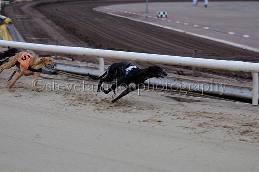 Julyaction_014.jpg - (C)S.FARNDON