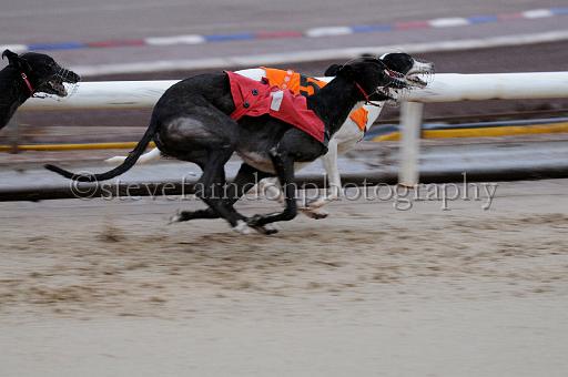 Julyaction_037.jpg - (C)S.FARNDON
