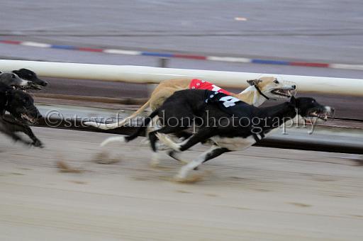 Julyaction_042.jpg - (C)S.FARNDON