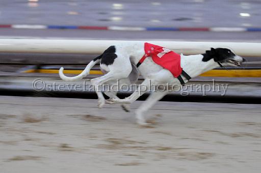 Julyaction_061.jpg - (C)S.FARNDON