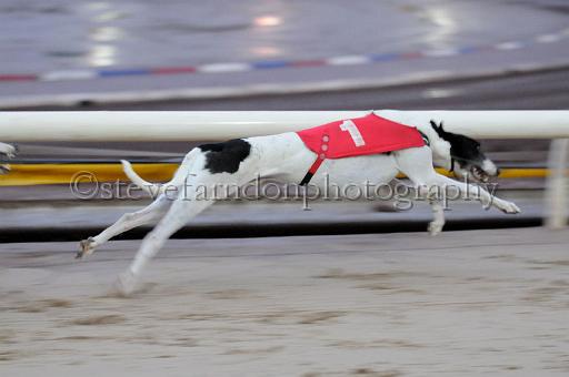 Julyaction_062.jpg - (C)S.FARNDON