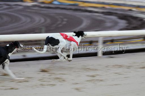 Julyaction_063.jpg - (C)S.FARNDON