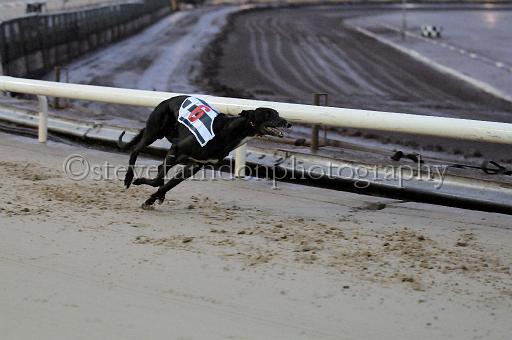 Julyaction_067.jpg - (C)S.FARNDON
