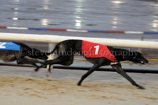 Julyaction_075.jpg - (C)S.FARNDON