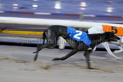 Julyaction_080.jpg - (C)S.FARNDON