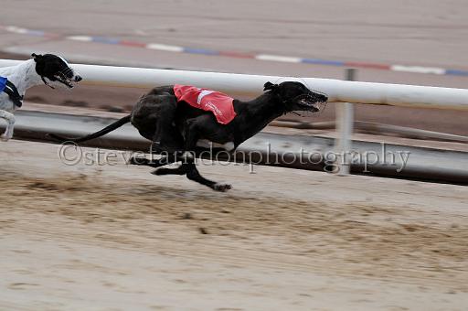 Julyaction_231.jpg - (C)S.FARNDON