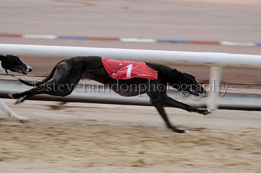 Julyaction_232.jpg - (C)S.FARNDON