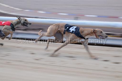 Julyaction_241.jpg - (C)S.FARNDON