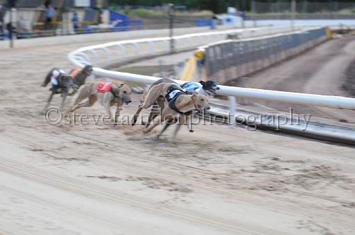 Julyaction_248.jpg - (C)S.FARNDON