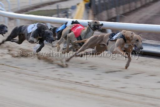 Julyaction_255.jpg - (C)S.FARNDON