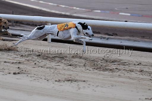 Julyaction_265.jpg - (C)S.FARNDON