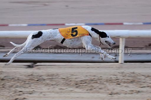 Julyaction_280.jpg - (C)S.FARNDON