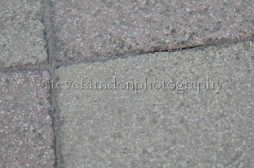 Julyaction_282.jpg - (C)S.FARNDON