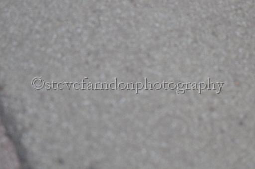Julyaction_309.jpg - (C)S.FARNDON