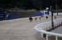 Julyaction_018