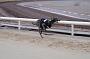 Julyaction_035