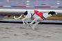 Julyaction_061